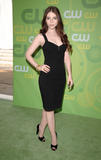 Michelle Trachtenberg shows small cleavage in black classy dress at CW Network's Upfront
