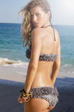 th_00253_gisele_bundchen-calzedonia_summer_2009_3107_123_966lo.jpg